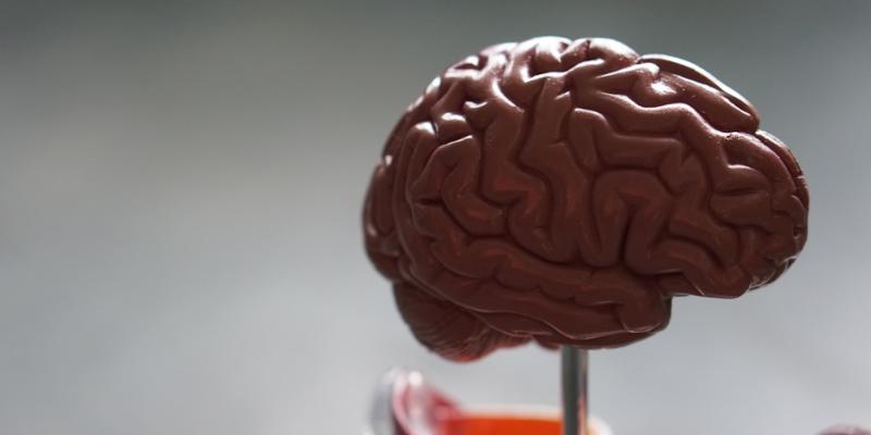Badanie na Alzheimera z krwi – jakie wykonać?